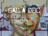 Teaser carnets de voyage